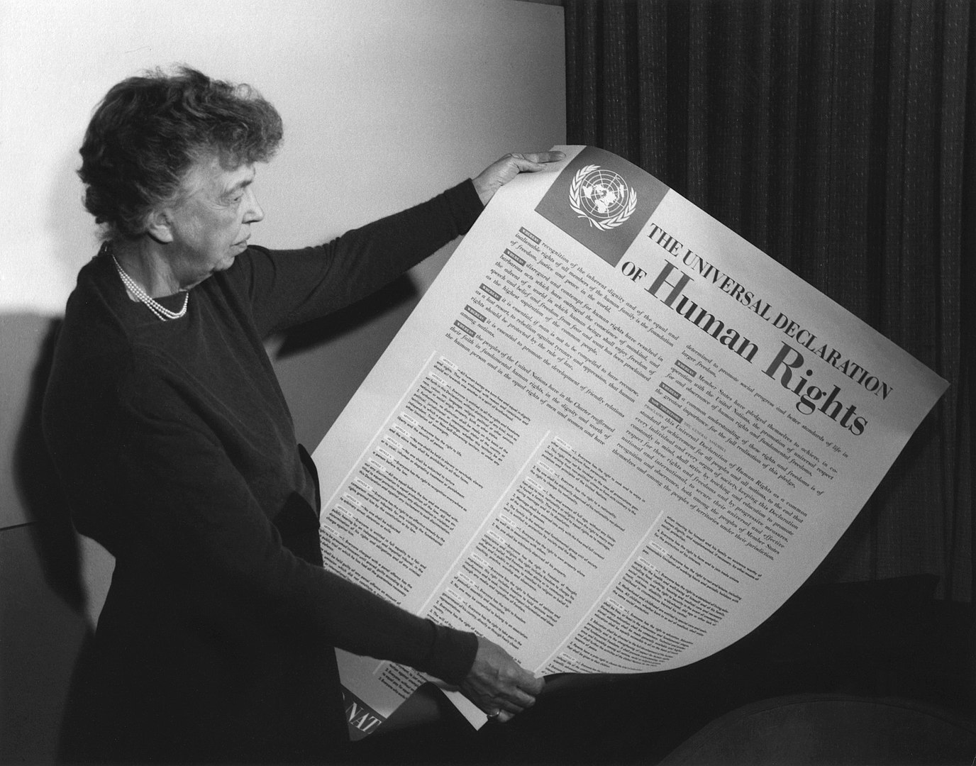 Die Allgemeine Erklärung der Menschenrechte
