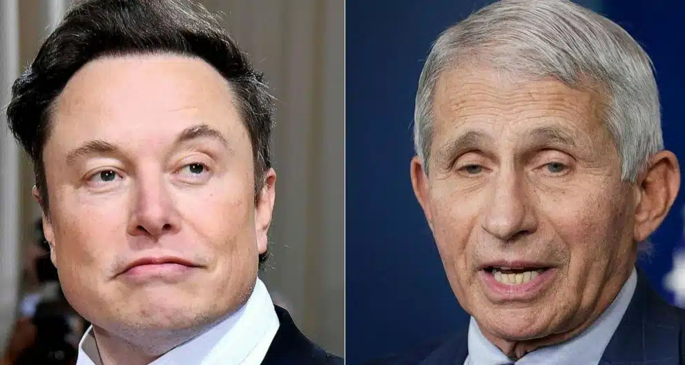 Elon Musk entlarvt Anthony Faucis bequeme Arbeitsbeziehung zu seiner Ehefrau
